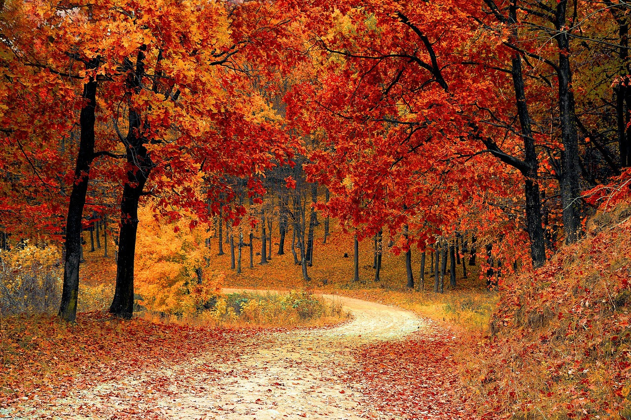 Edge of the Map: Fall Edition