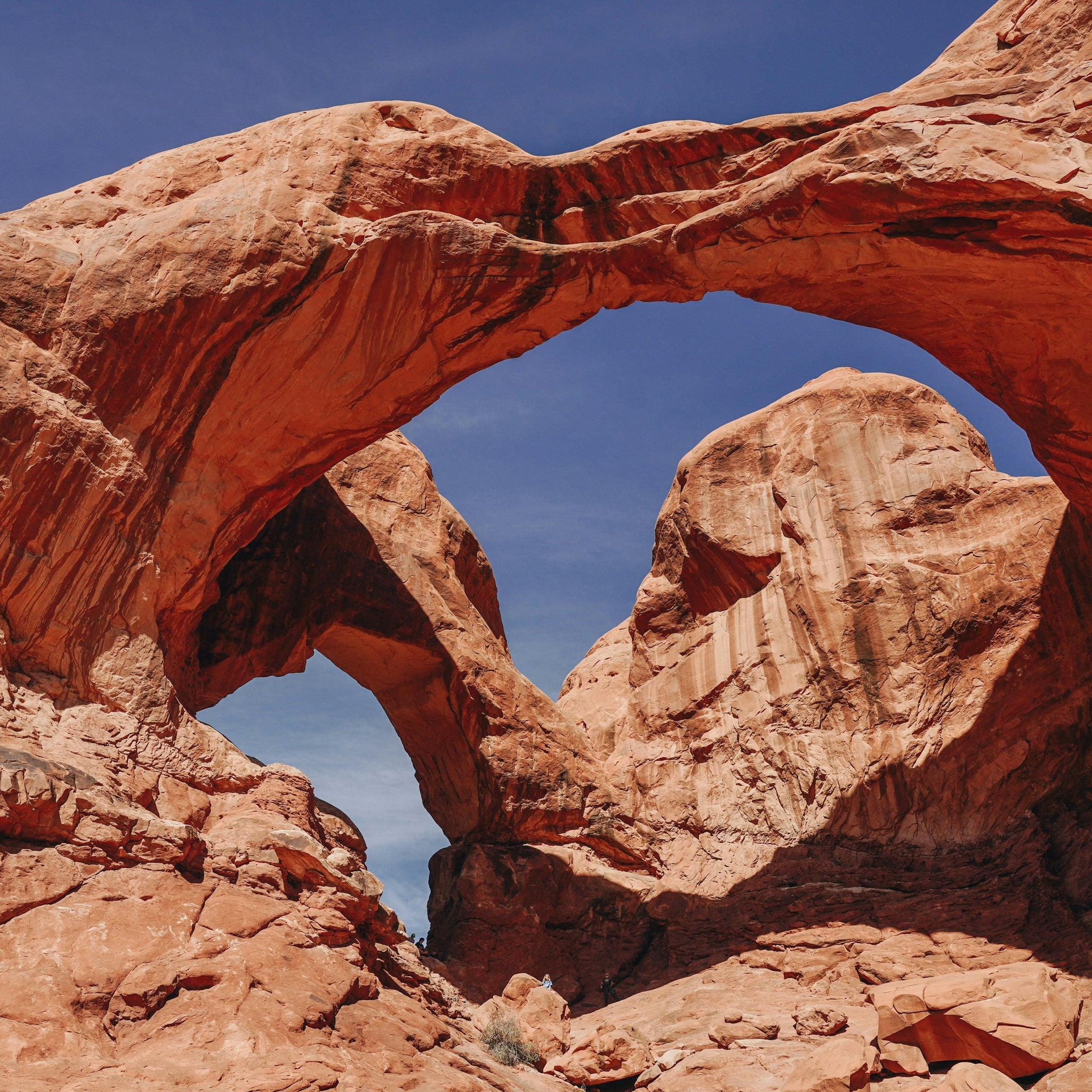 Beyond the Pavement: Trails That Will Take Your Breath Away