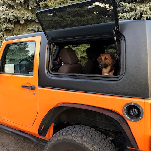 Orange Jeep with a dog looking out the open door, surrounded by trees.