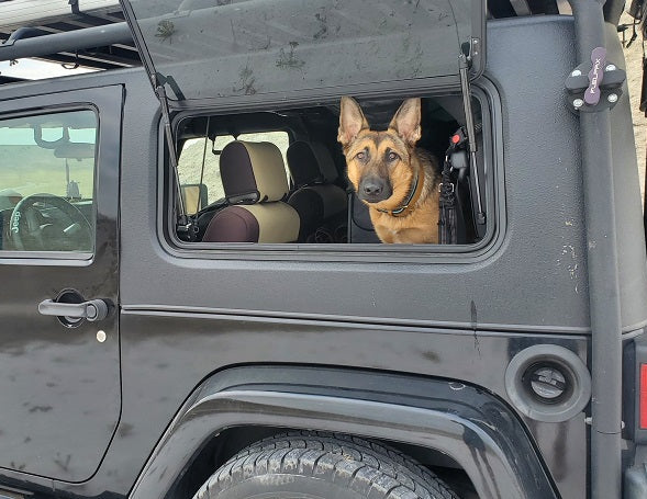 Dog looking out of a open window of a gray Jeep in a natural setting