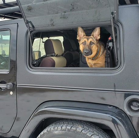 Dog looking out of a open window of a gray Jeep in a natural setting