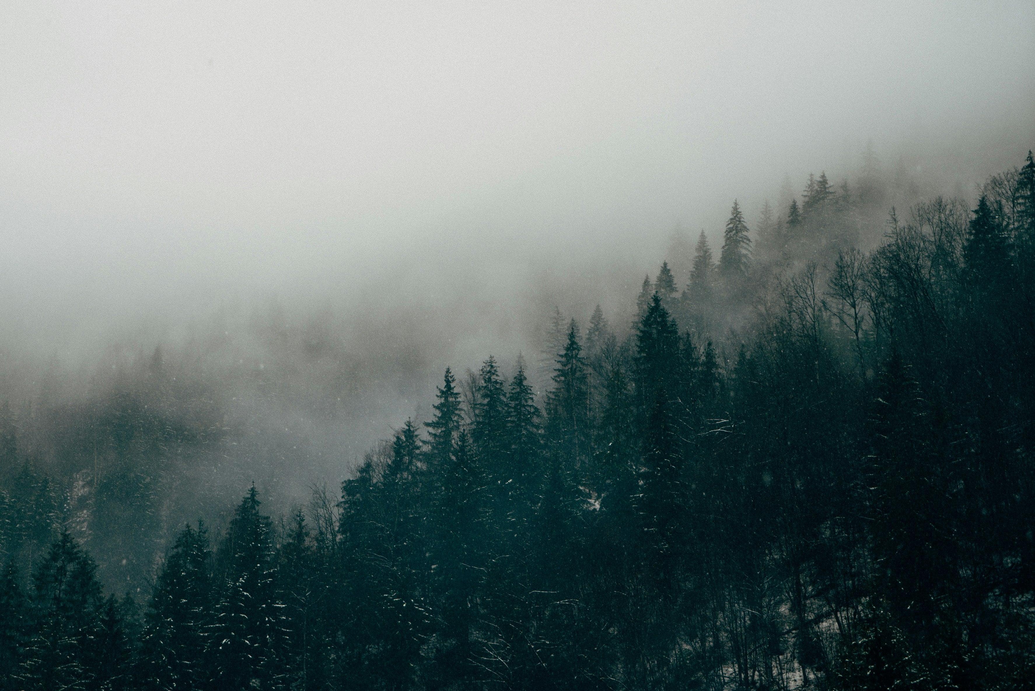 slider image slider_item_WT7U9e
